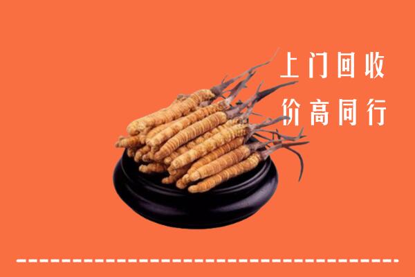 高价求购：漳州市漳浦县回收散虫草