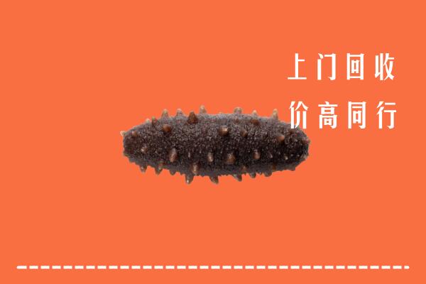 高价求购：漳州市漳浦县回收海参