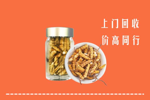 漳州市漳浦县回收冬虫夏草